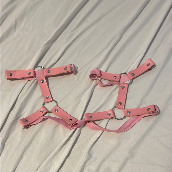 Pink Harness Accessory - Picture 1 of 1